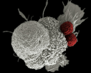 Future of Multidrug Cancer Therapy Future of Multidrug Cancer Therapy